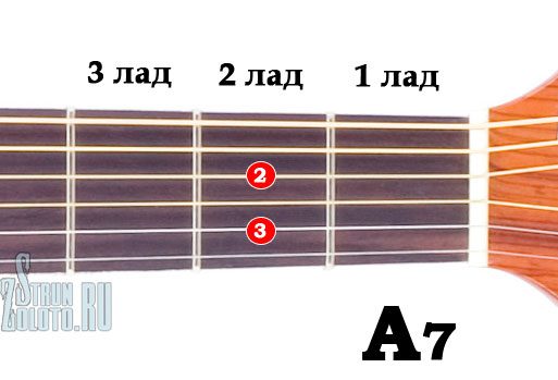 a7-8464828