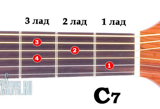 c7-8331199