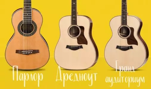 Акустическая гитара. Формы и их отличия.